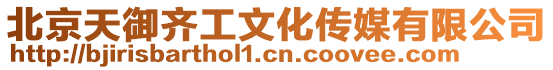 北京天御齊工文化傳媒有限公司