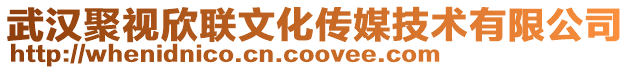 武漢聚視欣聯(lián)文化傳媒技術(shù)有限公司