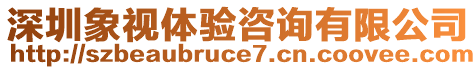 深圳象視體驗咨詢有限公司