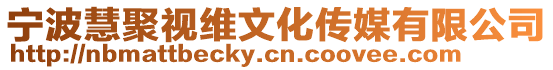 寧波慧聚視維文化傳媒有限公司
