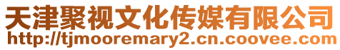 天津聚視文化傳媒有限公司