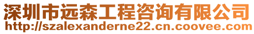 深圳市遠森工程咨詢有限公司