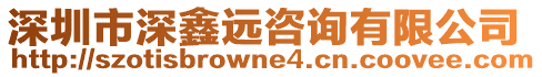 深圳市深鑫遠咨詢有限公司
