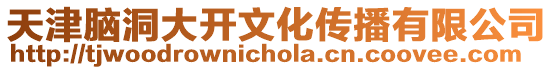 天津腦洞大開文化傳播有限公司