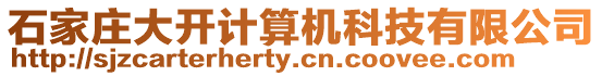 石家莊大開計算機科技有限公司