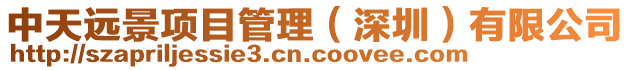中天遠(yuǎn)景項(xiàng)目管理（深圳）有限公司
