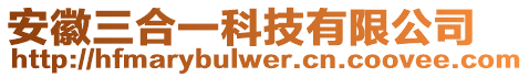 安徽三合一科技有限公司