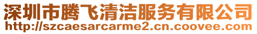 深圳市騰飛清潔服務(wù)有限公司