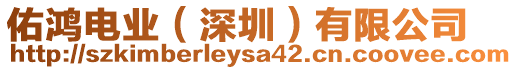 佑鴻電業(深圳)有限公司