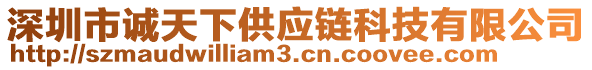 深圳市誠天下供應(yīng)鏈科技有限公司
