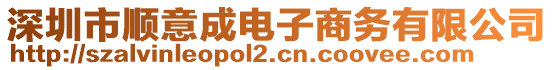 深圳市順意成電子商務有限公司
