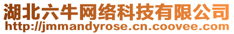 湖北六牛網絡科技有限公司