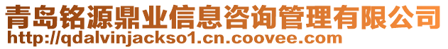 青島銘源鼎業信息咨詢管理有限公司