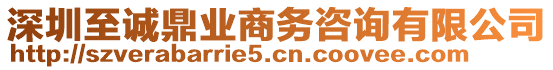 深圳至誠鼎業(yè)商務咨詢有限公司