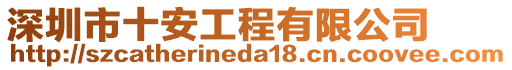 深圳市十安工程有限公司