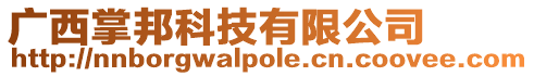 廣西掌邦科技有限公司