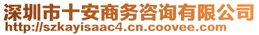 深圳市十安商務咨詢有限公司