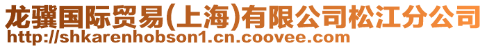 龍驥國際貿易(上海)有限公司松江分公司