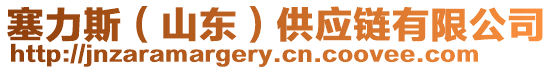 塞力斯(山東)供應鏈有限公司