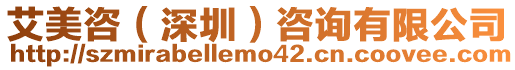 艾美咨(深圳)咨詢有限公司