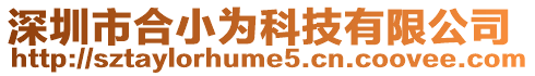 深圳市合小為科技有限公司