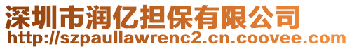 深圳市潤億擔保有限公司