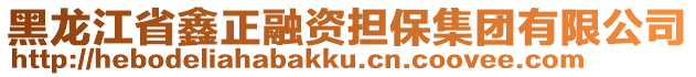 黑龍江省鑫正融資擔(dān)保集團(tuán)有限公司