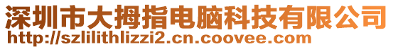深圳市大拇指電腦科技有限公司