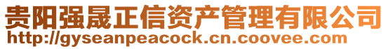 貴陽(yáng)強(qiáng)晟正信資產(chǎn)管理有限公司