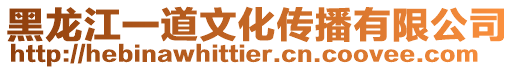黑龍江一道文化傳播有限公司
