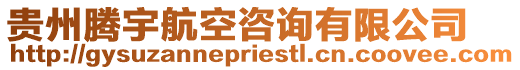 貴州騰宇航空咨詢有限公司