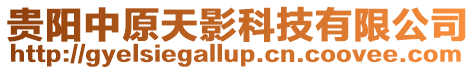 貴陽中原天影科技有限公司