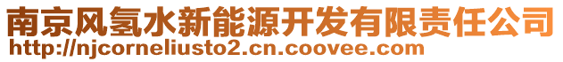 南京風(fēng)氫水新能源開(kāi)發(fā)有限責(zé)任公司