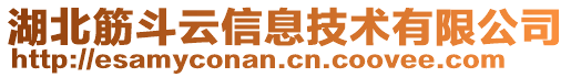 湖北筋斗云信息技術(shù)有限公司