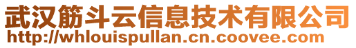 武漢筋斗云信息技術(shù)有限公司