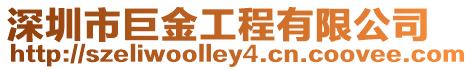 深圳市巨金工程有限公司