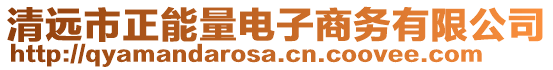 清遠(yuǎn)市正能量電子商務(wù)有限公司