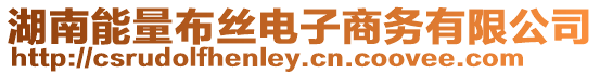 湖南能量布絲電子商務(wù)有限公司
