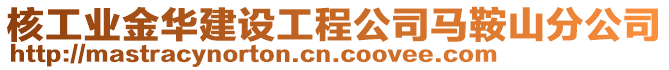 核工業(yè)金華建設工程公司馬鞍山分公司