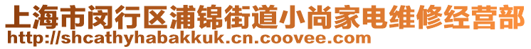 上海市閔行區(qū)浦錦街道小尚家電維修經營部