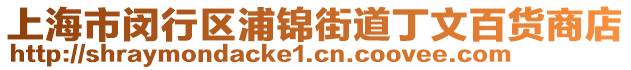 上海市閔行區浦錦街道丁文百貨商店
