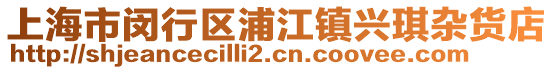上海市閔行區(qū)浦江鎮(zhèn)興琪雜貨店