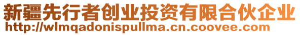 新疆先行者創(chuàng)業(yè)投資有限合伙企業(yè)