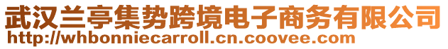 武漢蘭亭集勢(shì)跨境電子商務(wù)有限公司