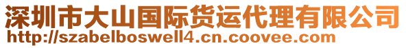 深圳市大山國(guó)際貨運(yùn)代理有限公司