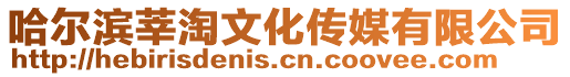 哈爾濱莘淘文化傳媒有限公司