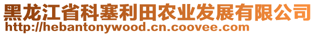 黑龍江省科塞利田農(nóng)業(yè)發(fā)展有限公司