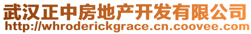 武漢正中房地產(chǎn)開發(fā)有限公司