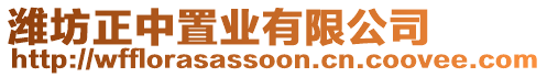 濰坊正中置業(yè)有限公司