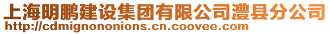 上海明鵬建設(shè)集團有限公司澧縣分公司